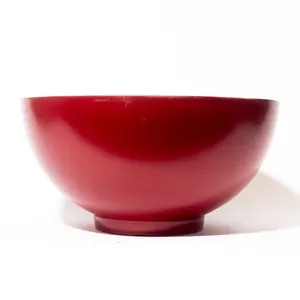 Red Plastic Plant Pot - 13