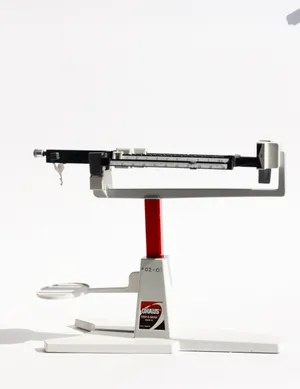 Education Bam Balance Scale High Precision Four Beam Mechanical Scale