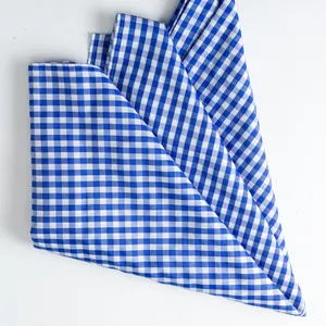 Blue Checkered Unhemmed Fabric 7' x 3.75'