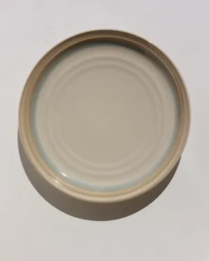 Noritake Stoneware Painted Desert 10 1/4