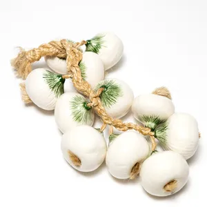 Large Ceramic Hanging Onions Braided Home 