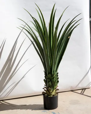 Faux Spiked Agave Plant in a Black Pot