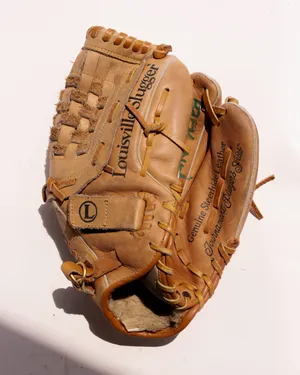 Louisville Slugger 14 Inch Steerhide Leather Baseball Glove