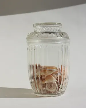 Clear Glass Ribbed Prism, Seashell Jar Storage Canister
