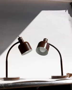 Vintage 1970s Brown Gooseneck Metal Desk Lamp