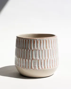 Alabaster White Textured Ceramic Planter, House Plant