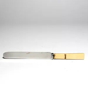 Bone Handle Dinner Knife - 9.25