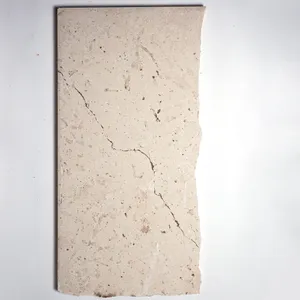  Surface 65lb Natural Stone