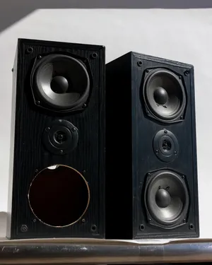 Pair of Onkyo SKF-100 Black Bookshelf Speakers