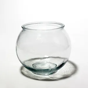 Fish Bowl Clear Smooth Clear Glass