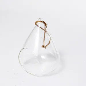 Tear Drop Terrarium - 6