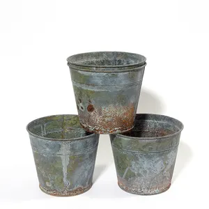 Vintage Gardening Pale Galvanized Metal, Aged Naturally, Rust - 6