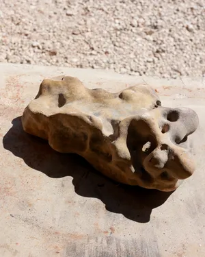 Holey Stone, Hag Stone Medium Size Riser, Surface, Rock Riser