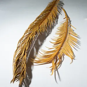 Natural Dead Dried Yellow Palm Leaves