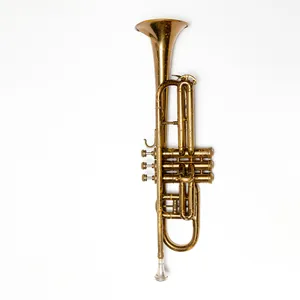 Vintage Brass Trumpet Coronet Aged, Patina, Dark Gold, Silver Mouth Piece with Vintage Carrying Care with Plenty of Character