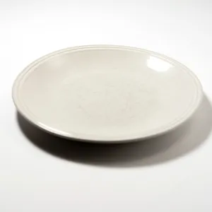 pair of white dinner plates with textured rim - 10.5