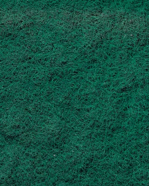 Green Fiberous Flat Photography Surface