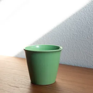 Set of 2 Green house plant pots