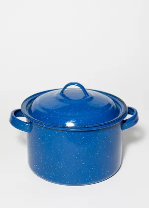 Blue Speckled Enamelware Stock pot