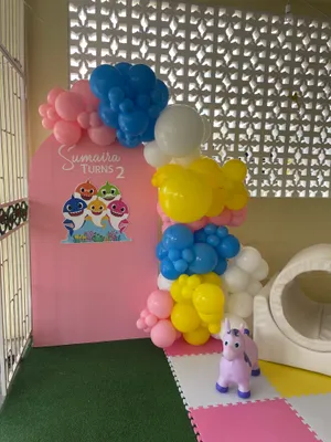 Custom single arch backdrop (BACKDROP/PICTURE AREA)