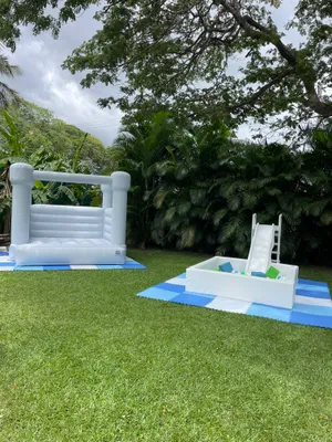 Blue Bouncy with Large Ball pit and Slide