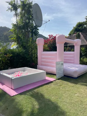 Pink Bouncy and white Ball Pit Combo