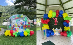 Bubble dome and Greenery Backdrop combo