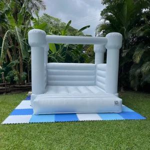 Blue Stone (Blue Bouncy Castle)