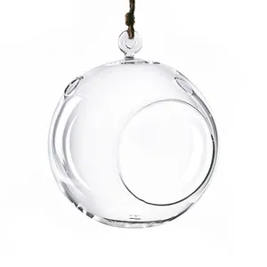 Glass Plant Terrarium Tealight Candle Holder_6