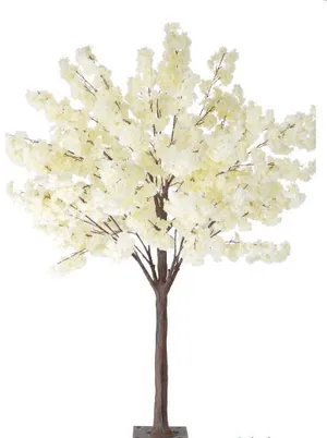 White Cherry Blossom Tree