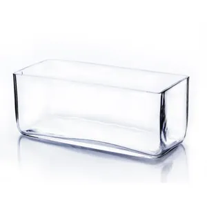 Low Rectangle Glass Vase