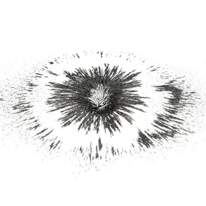 Physics-Iron Filings