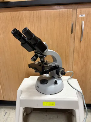 Microscopes - ZEISS immersion microscope