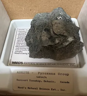 Geology-Augite