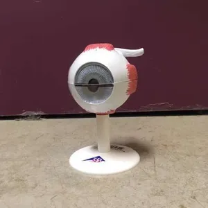 Models-Eye, small