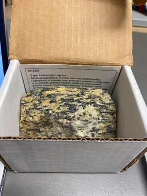 Geology-Gneiss 