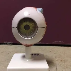 Models-Eye, medium