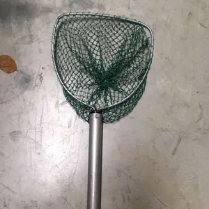 Ecology: Water Net