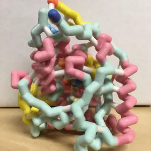 Models-Phenylalanine Hydroxylase protein structure model