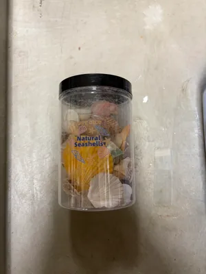 Seashell variety - jar