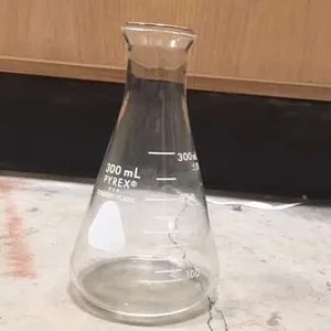 Equipment/Lab-Erlenmeyer Flasks (300 mL)