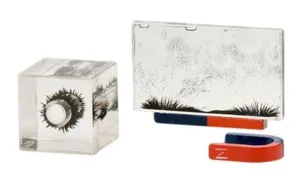 Physics-Magnetic Lines of Force Demo Set