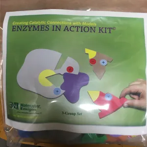 Molecular Biology-Enzymes in Action Kit