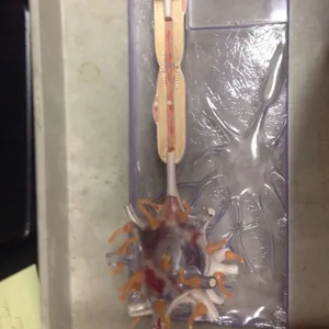 Models-Neuron