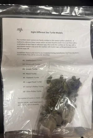 Mini Sea turtle models (8 types)