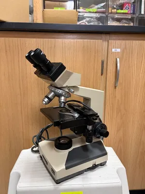 Microscopes - OLYMPUS immersion microscope