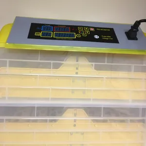 Equipment/Lab-Egg Incubator