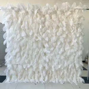 Angel Wings (Feather Backdrop)