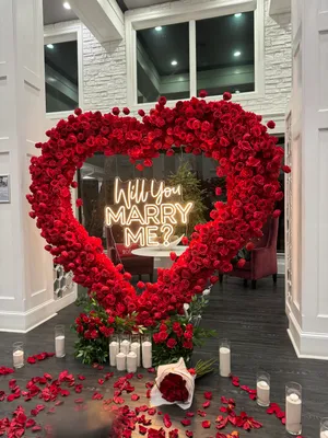 Marriage Posh Proposal