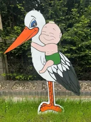 Storch